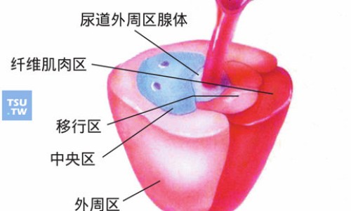 中药威灵仙的作用与用途-威灵仙的作用与功能主治,中国中药威灵仙的作用网站